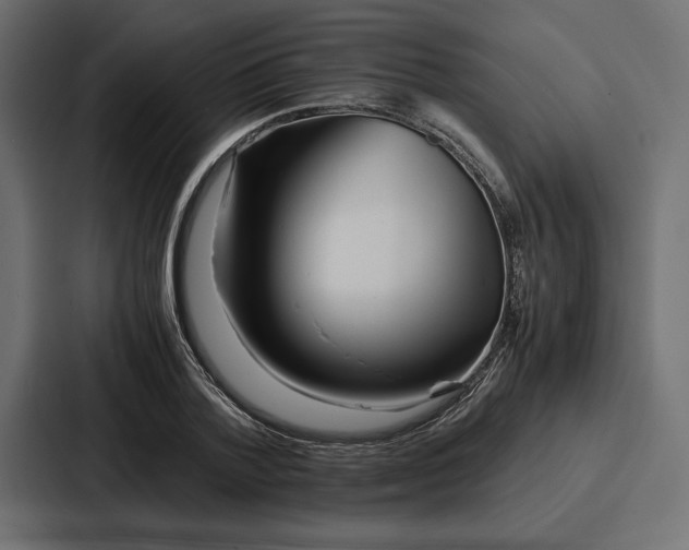 X0000086740788200705111634