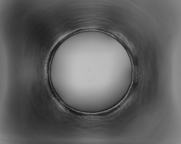 X0000086740789200705111634