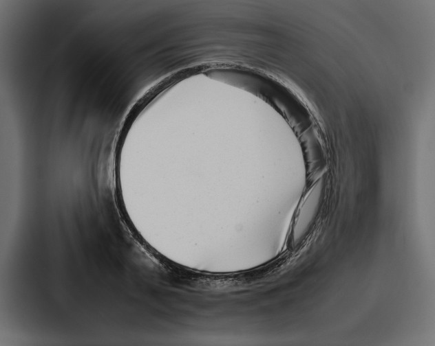 X0000086740791200705111634