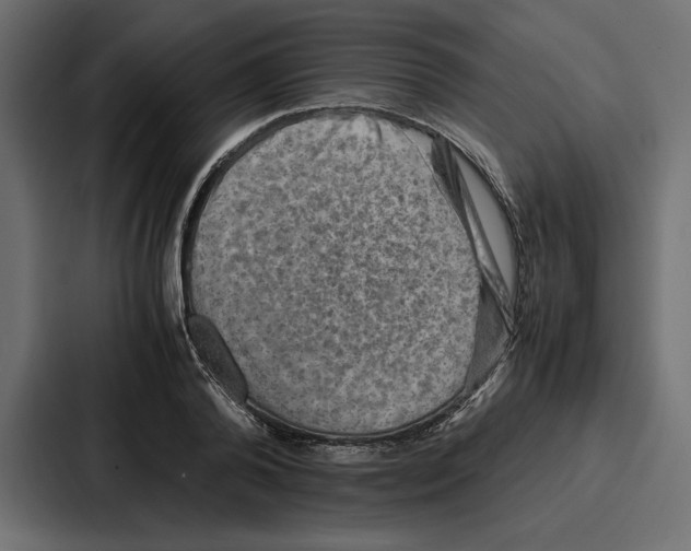 X0000086740792200705111634