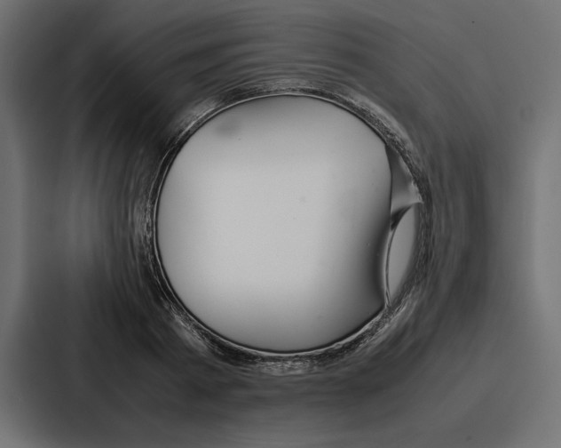 X0000086740793200705111634