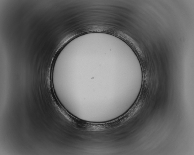 X0000086740794200705111634