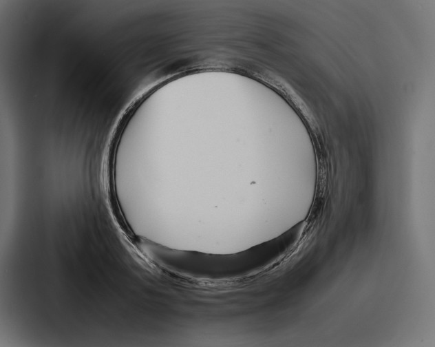 X0000086740795200705111634