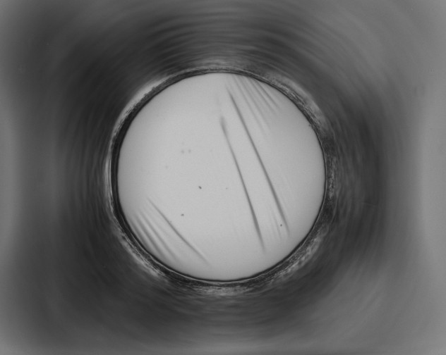 X0000086740796200705111634