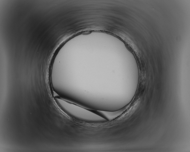 X0000086740797200705111634