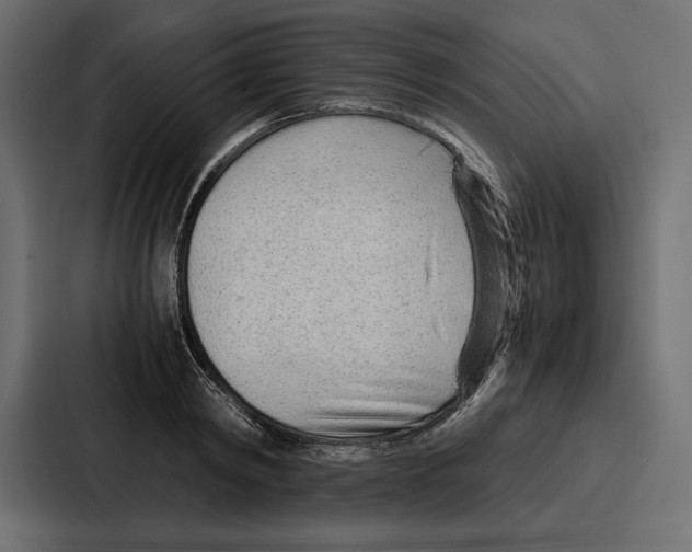 X0000086740798200705111634