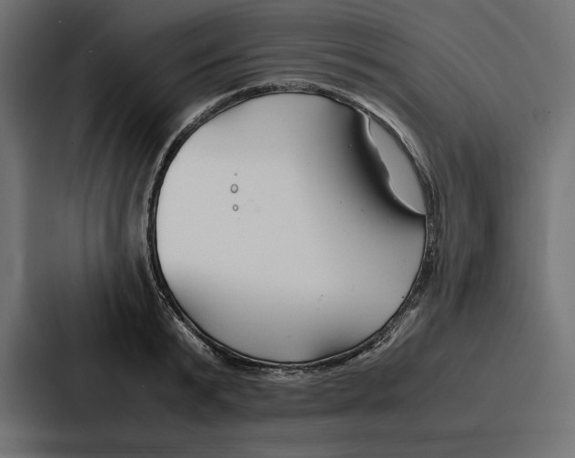 X0000086740799200705111634
