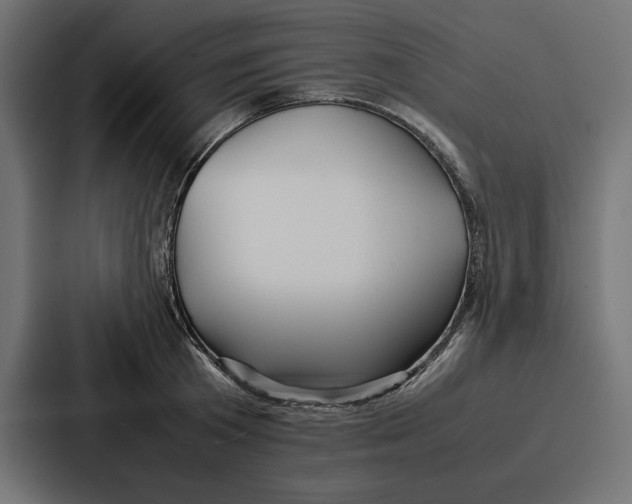X0000086740801200705111634