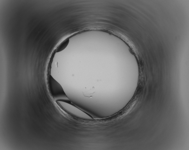 X0000086740803200705111634