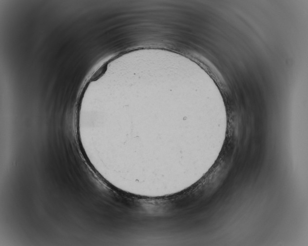 X0000086740804200705111634