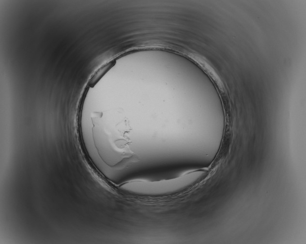 X0000086740805200705111634