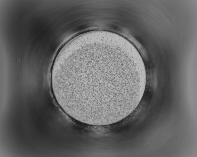 X0000086740807200705111634