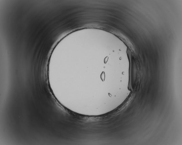 X0000086740808200705111634
