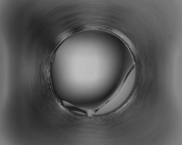 X0000086740809200705111634