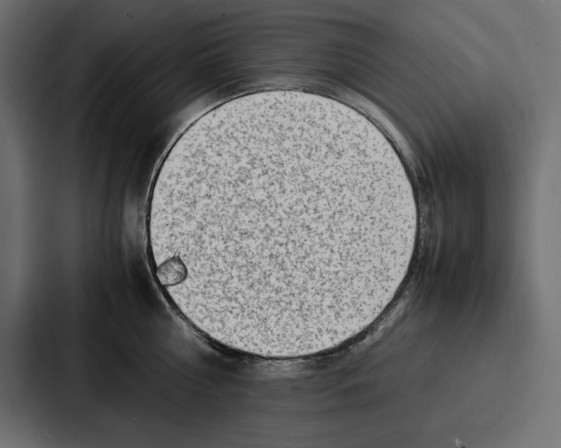 X0000086740810200705111634