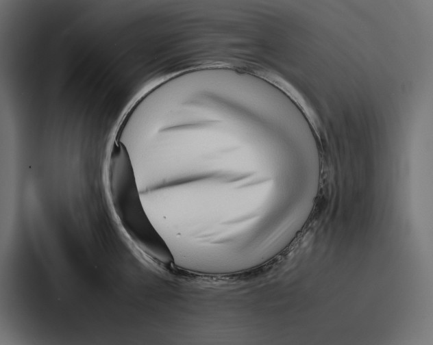 X0000086740811200705111634