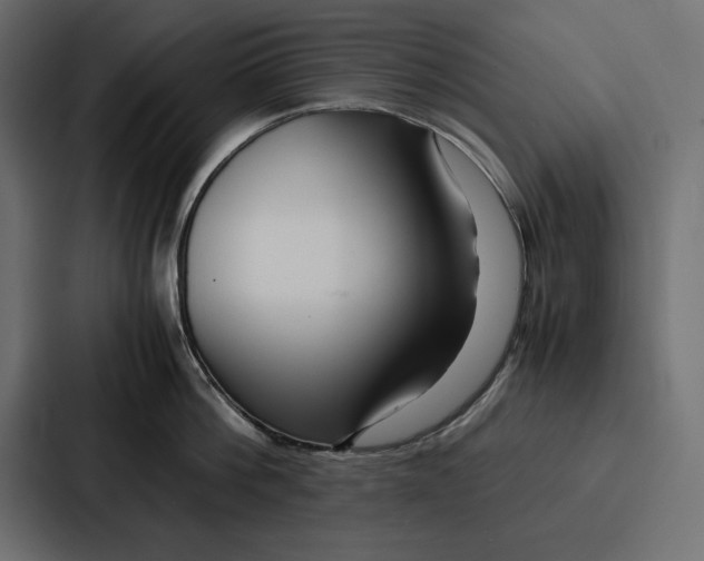 X0000086740812200705111633