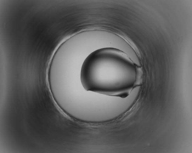 X0000086740813200705111633