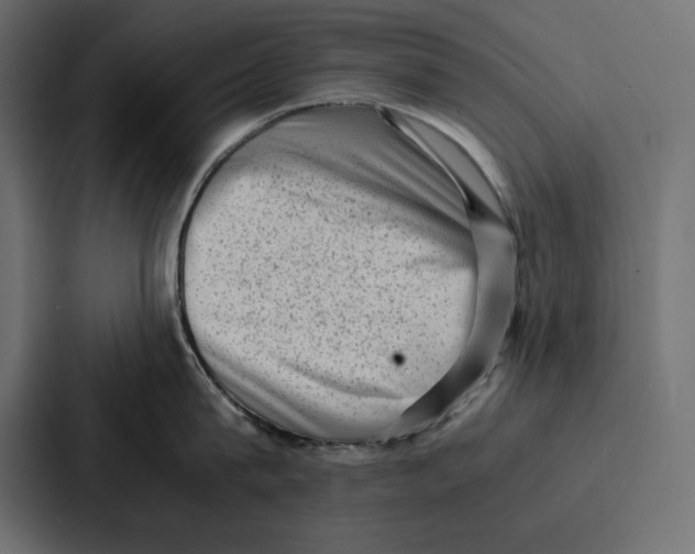 X0000086740815200705111633