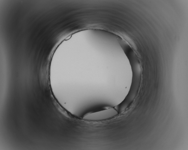 X0000086740816200705111633