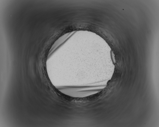 X0000086740817200705111633