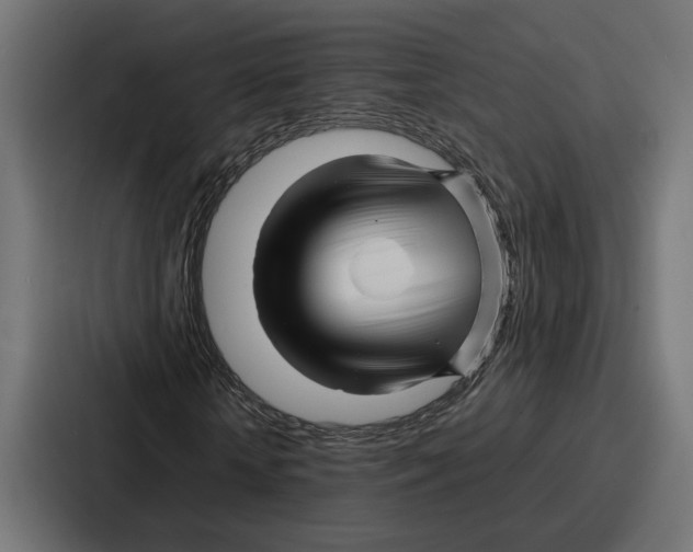 X0000086740818200705111633