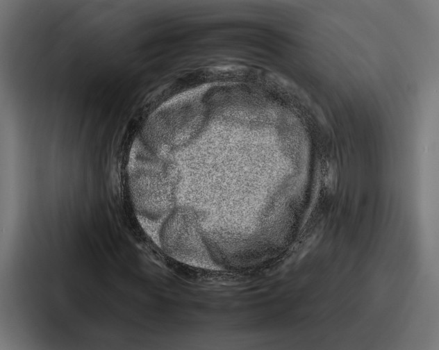 X0000086740819200705111633