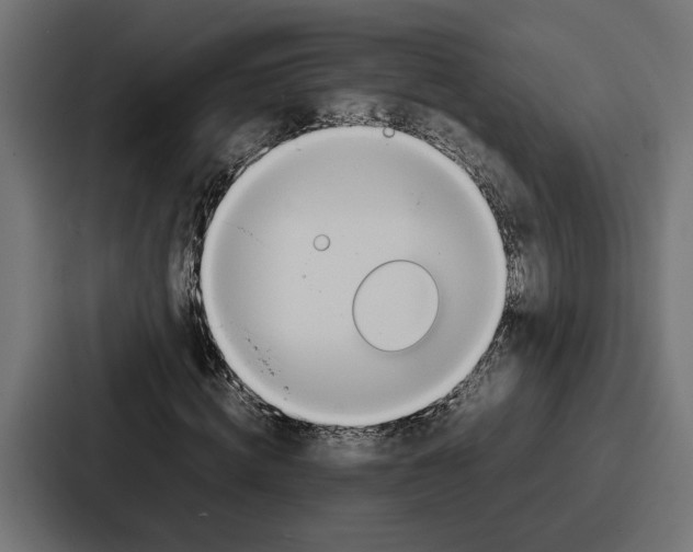 X0000086740820200705111633