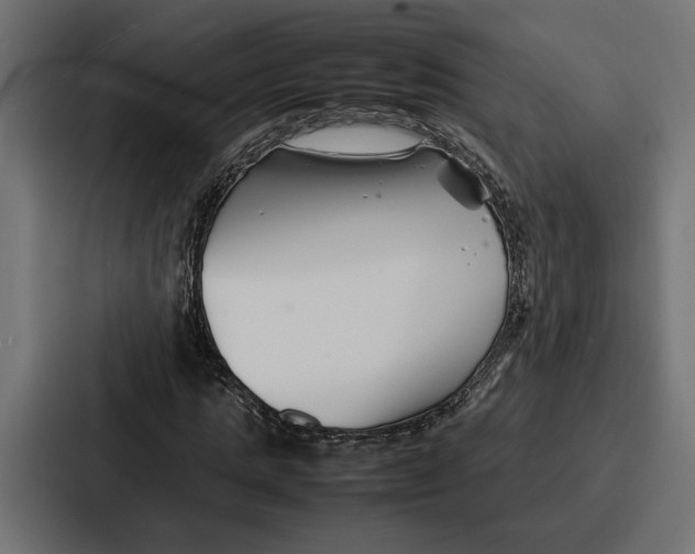 X0000086740821200705111633