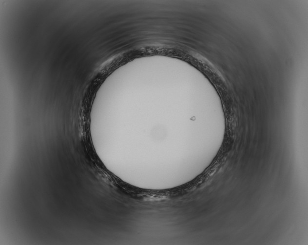 X0000086740822200705111633