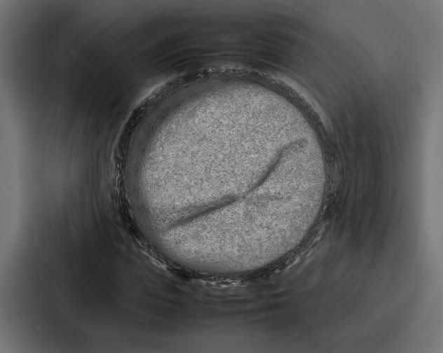 X0000086740823200705111633