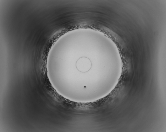 X0000086740824200705111633