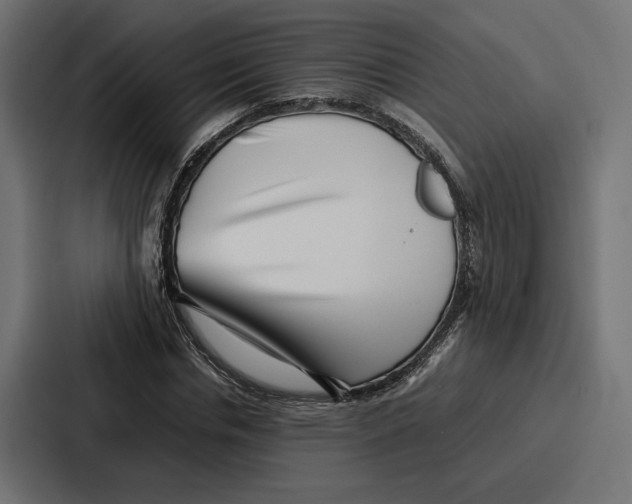 X0000086740826200705111633