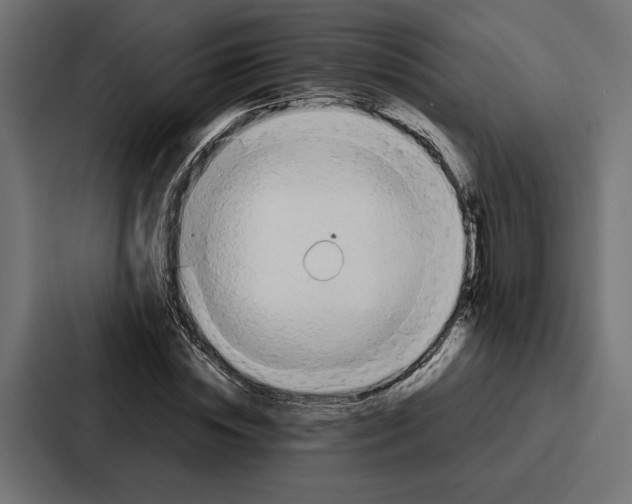 X0000086740828200705111633