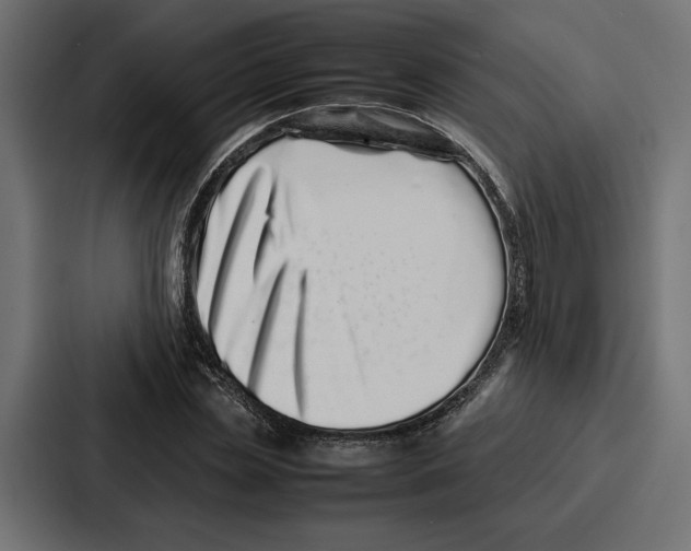 X0000086740829200705111633