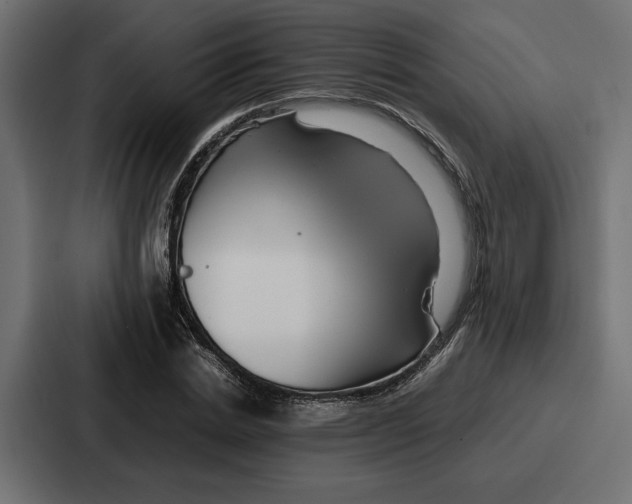X0000086740830200705111633