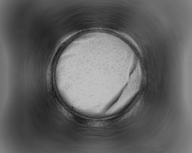 X0000086740831200705111633
