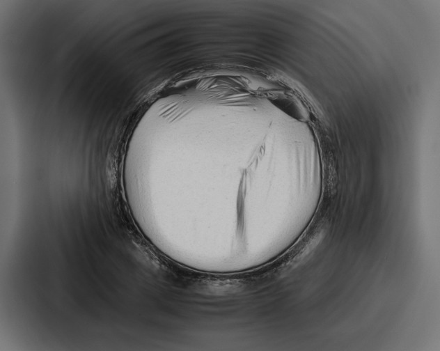 X0000086740833200705111633