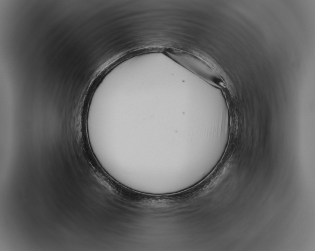 X0000086740834200705111633