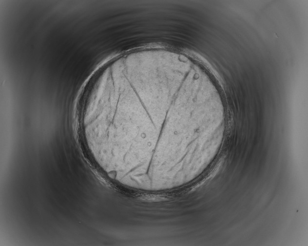 X0000086740835200705111633