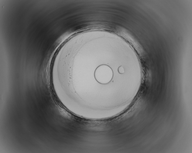 X0000086740836200705111633