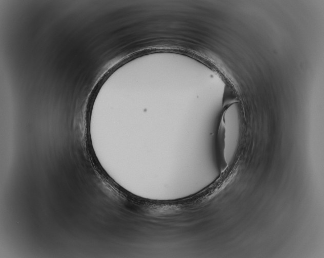 X0000086740837200705111633