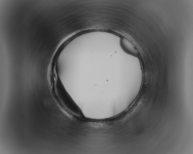 X0000086740838200705111633