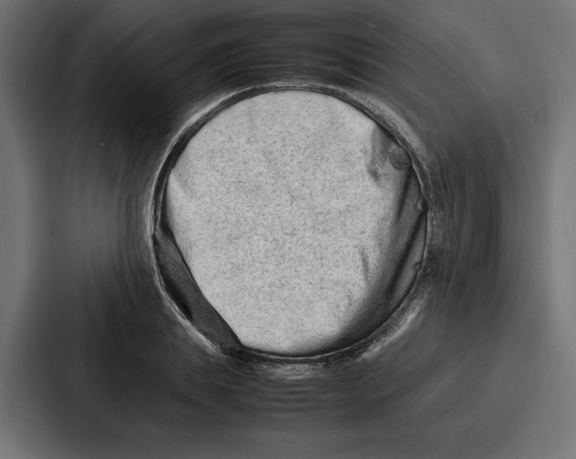 X0000086740839200705111633