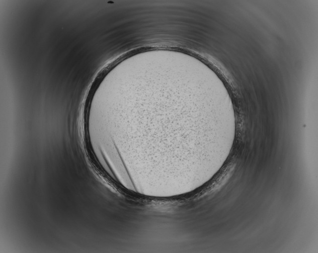 X0000086740840200705111633