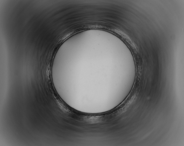 X0000086740841200705111633