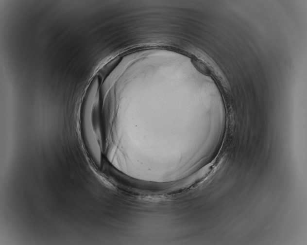 X0000086740842200705111633