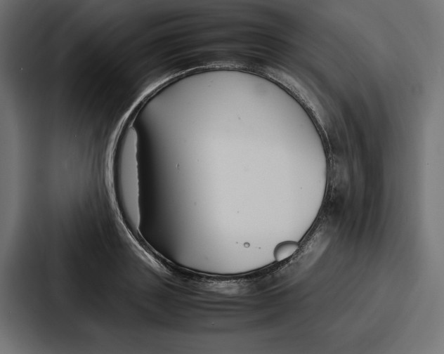 X0000086740843200705111633