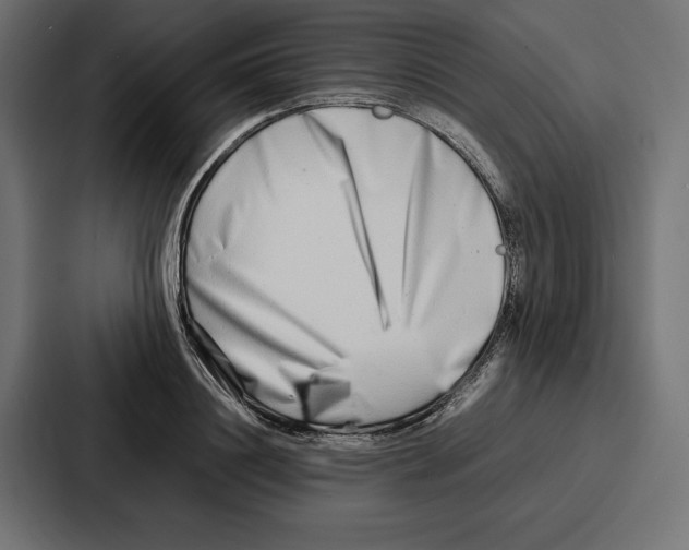 X0000086740844200705111633