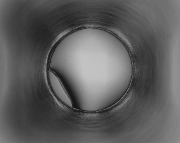 X0000086740845200705111633